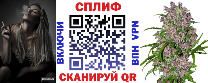 где можно купить   Махачкала  Бошки марихуана Amnesia 